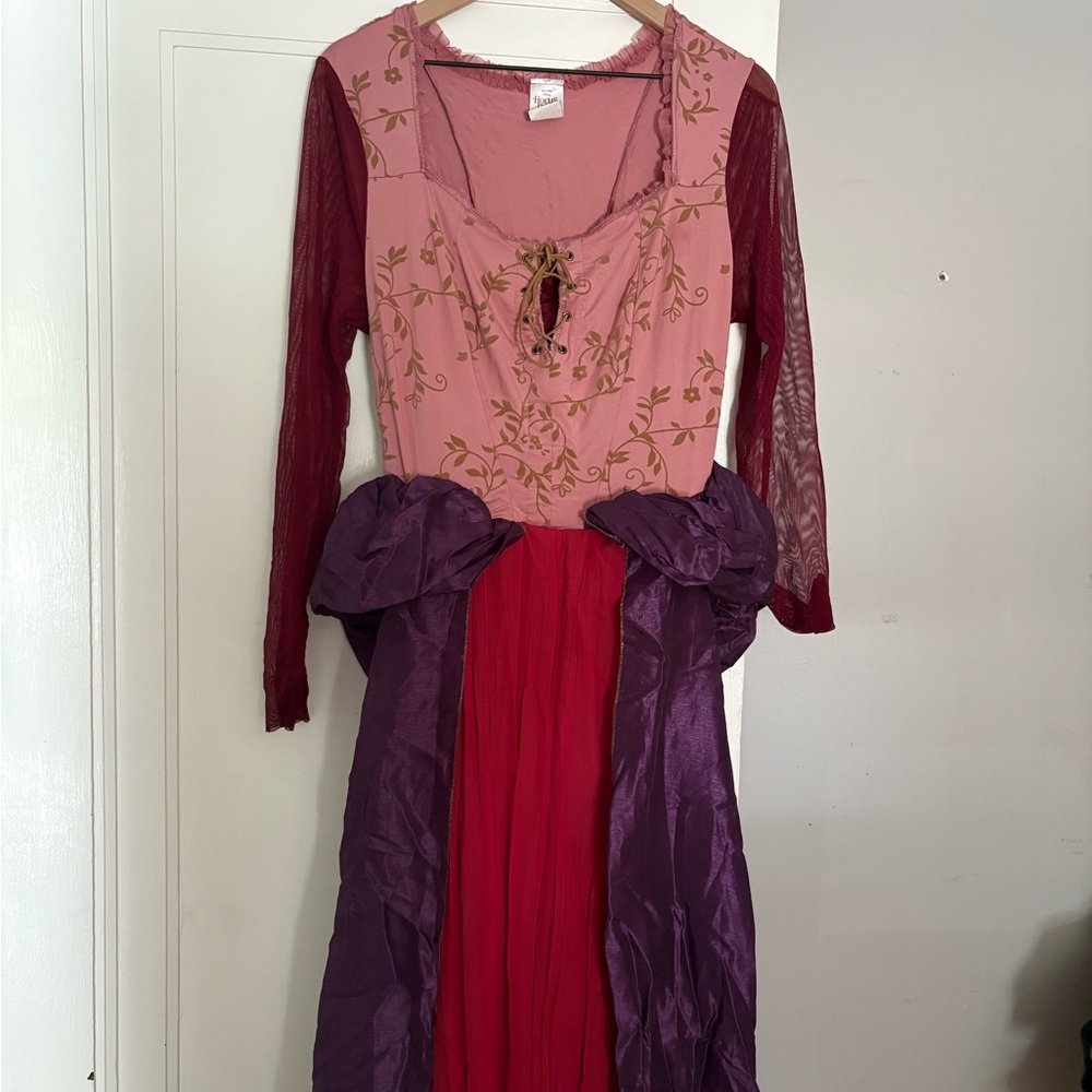Hocus Pocus Sanderson Sisters Costumes - Picture 2 of 11